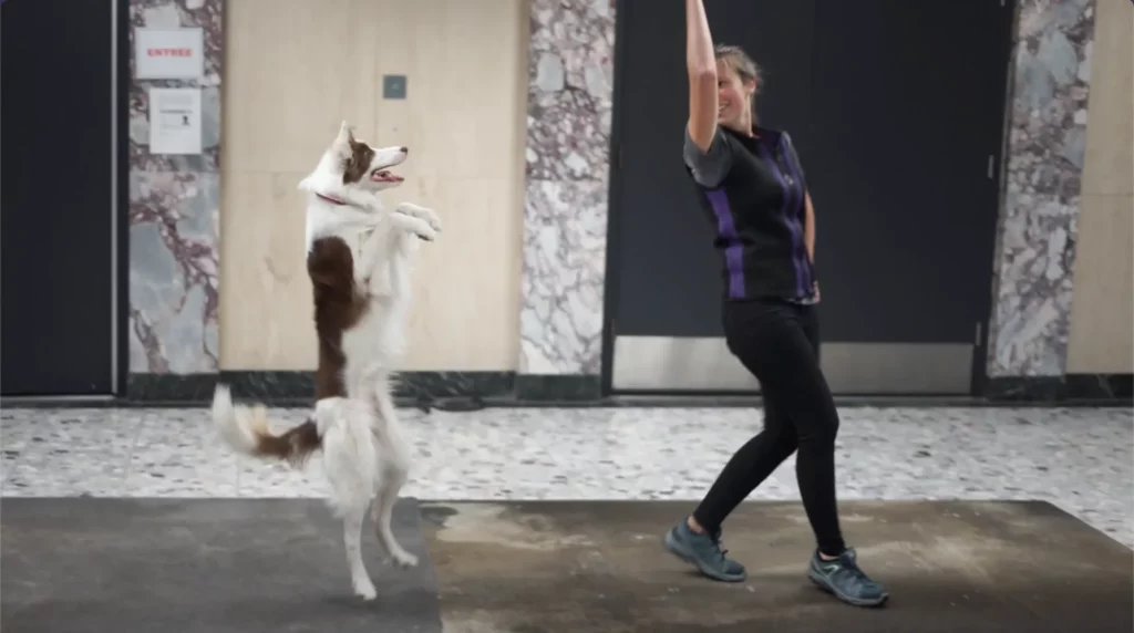 Alexandra cote en performance avec son chien