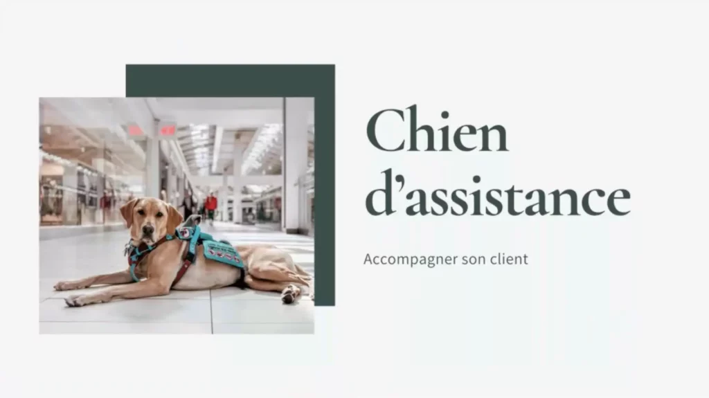 Accompagner son client avec son chien d'assistance - Fleur Montambeault